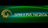 SPIRULINA NIGRITA