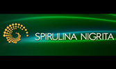 SPIRULINA NIGRITA