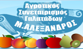 ΑΣ ΜΕΓΑΣ ΑΛΕΞΑΝΔΡΟΣ