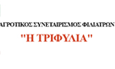 ΑΣ ΦΙΛΙΑΤΡΩΝ Η ΤΡΙΦΥΛΙΑ