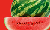 AGROEXPO ΑΕ