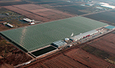 ΗELLENIC FARMING AE