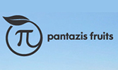 PANTAZIS FRUITS SA