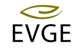 EVGE OLIVE OIL